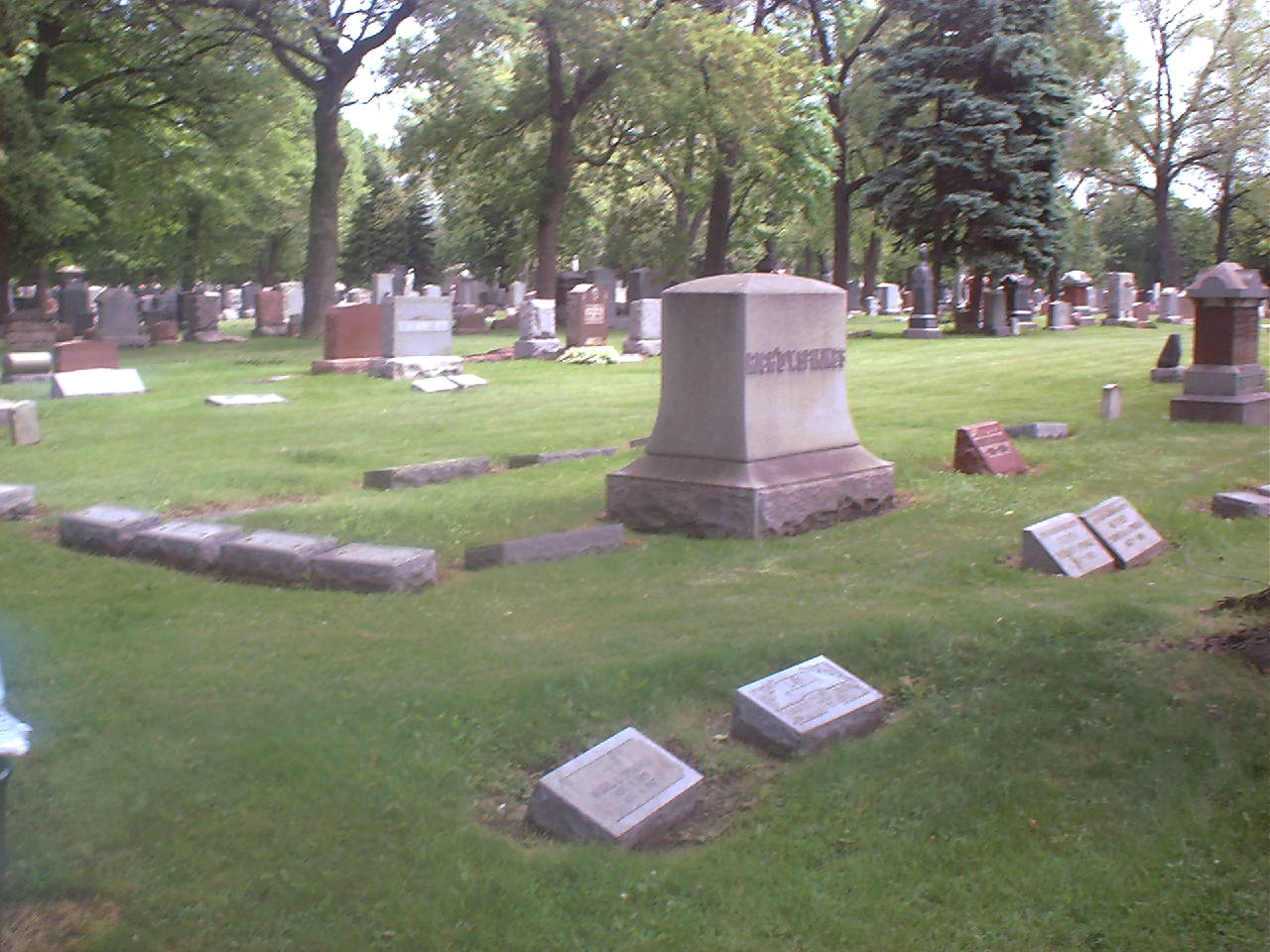 Section overview