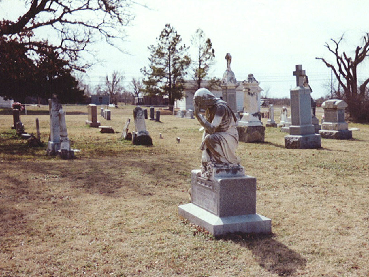 McCaughey & Murray family group